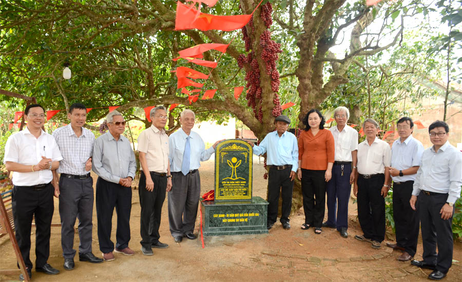 Những[-]c&acirc;y[-]Đỏ[-]đầu[-]ti&ecirc;n[-]được[-]c&ocirc;ng[-]nhận[-]C&acirc;y[-]Di[-]sản[-]Việt[-]Nam